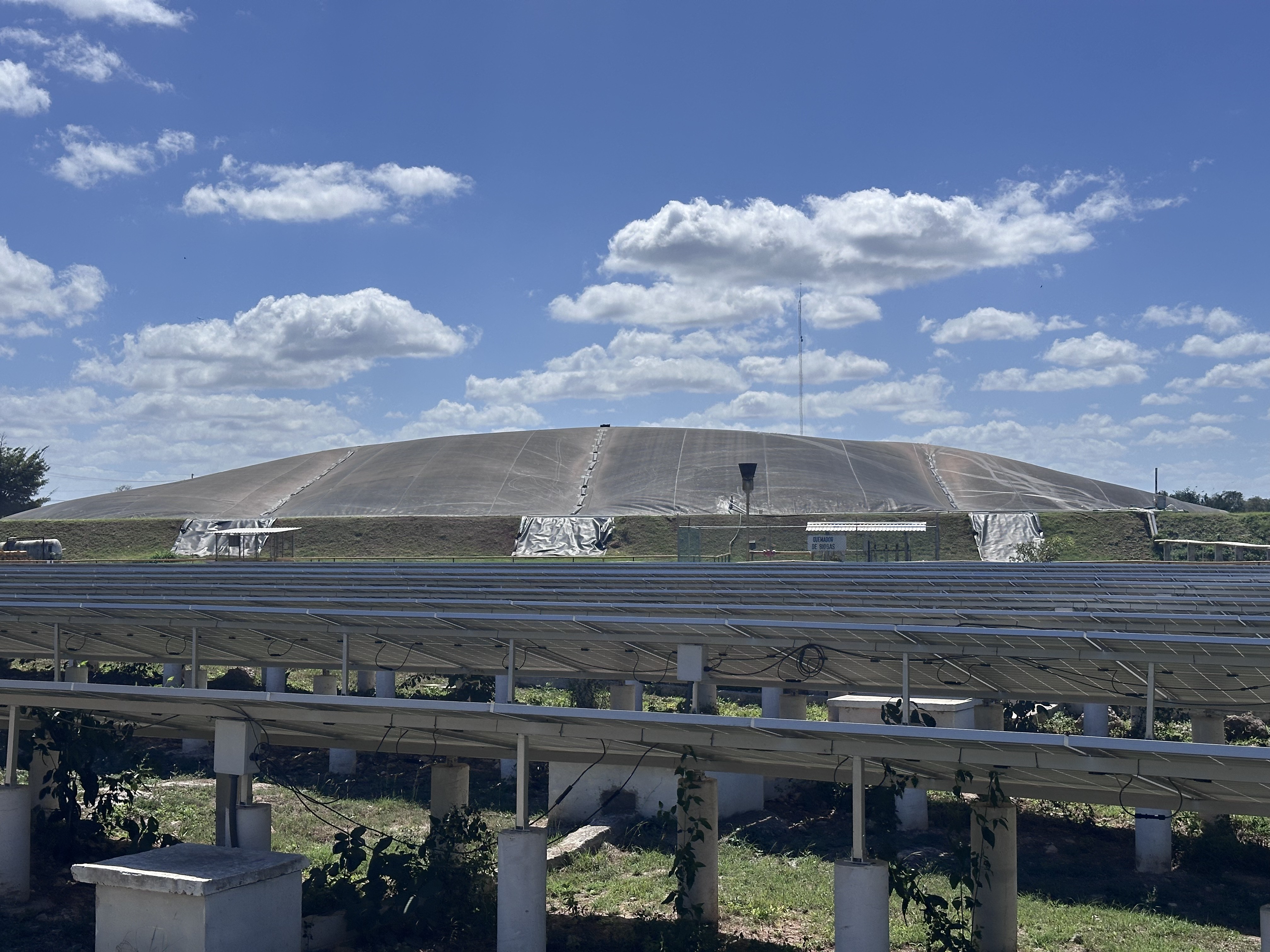 Reactor CSTR — tanque agitado continuo